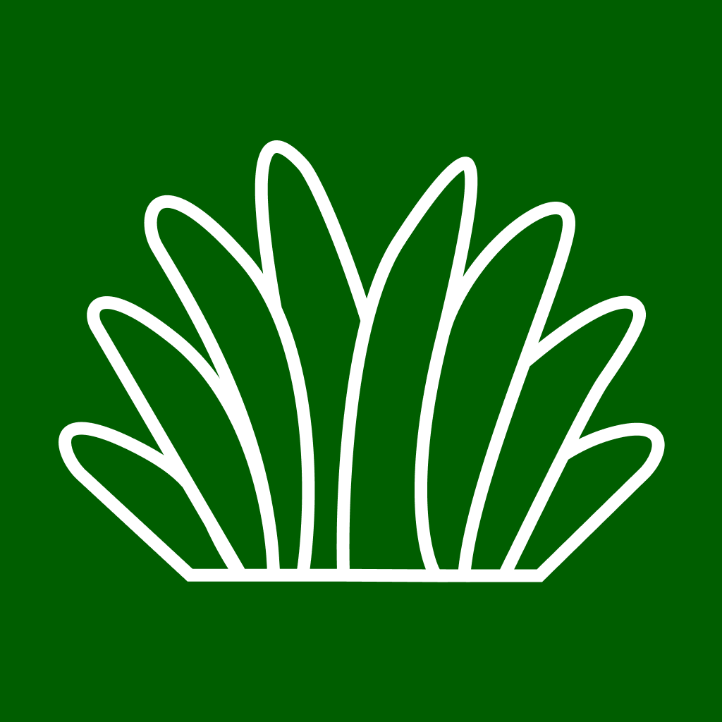 Волки и овцы